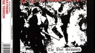 extreme noise terror  -  punk fact or fiction    87 - 90  -  uk