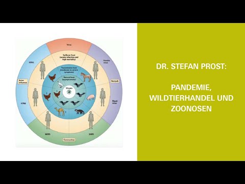 Pandemie, Wildtierhandel und Zoonosen