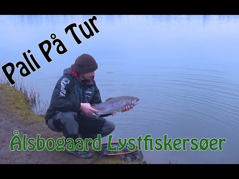 PutFiskeri besøger Ålsbogaard lystfisker sø