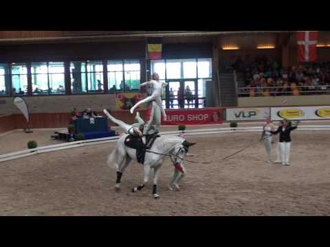 Suisse Team Voltige - Le Mans 2016 -- by Voltige Videos