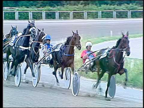 Trotto 16/06/2016 - 5° corsa