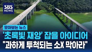 '초록빛 재앙' 잡을 아이디어 나왔다 과하게 투척되는 소X 막아라 / SBS / 모아보는 뉴스