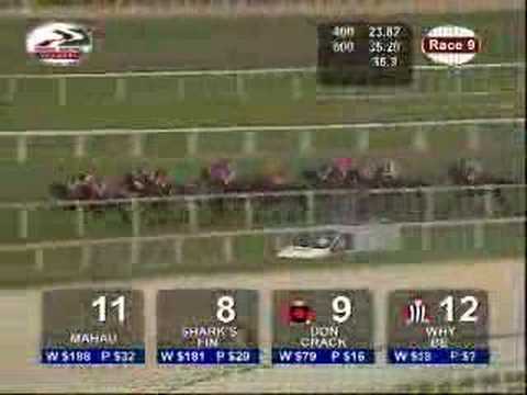 MRA CUP 12/03/06 - WHY BE