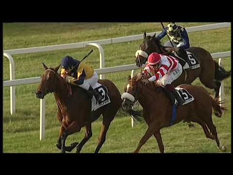 2018-12-09 Corsa 4 Metri 1500 Premio 47° criterium di Pisa Trofeo bet365