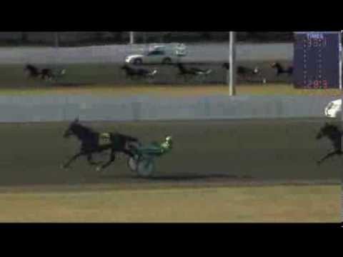 November 30, 2013 - Qualifier #5 - Sarandon Blue Chip