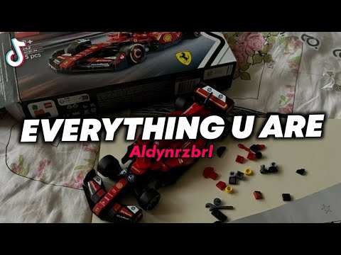 DJ EVERYTHING U ARE - HINDIA || VIRAL TIKTOK!!!