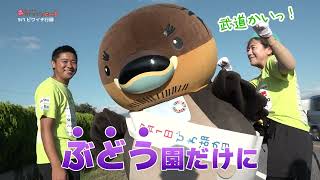 2026/9/17放送・知ったかぶりカイツブリにゅーす