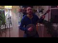 joshua marcus - nostrils break or create silence