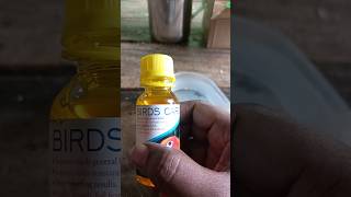 Download lagu Birds Care Bird Booster||Budgies ke liye Medicines #shorts mp3 Download lagu Birds Care Bird Booster||Budgies ke liye Medicines #shorts mp3