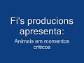 Animais em momentos Críticos