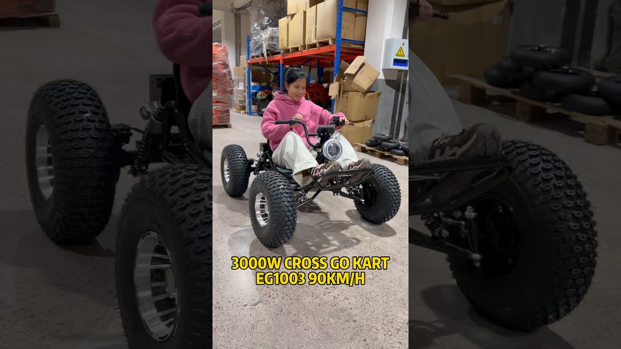 Electric Cross Go Kart, Off road buggy with 3000W brushless Shaft drive Vehicle #gokart #cart #buggy