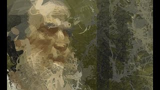 Why Am I Doing Daily Studies ? (and why you should avoid pinterest)