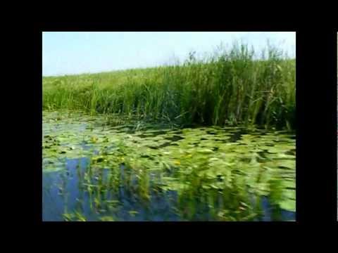 Delta Dunarii - Sulina - Romania