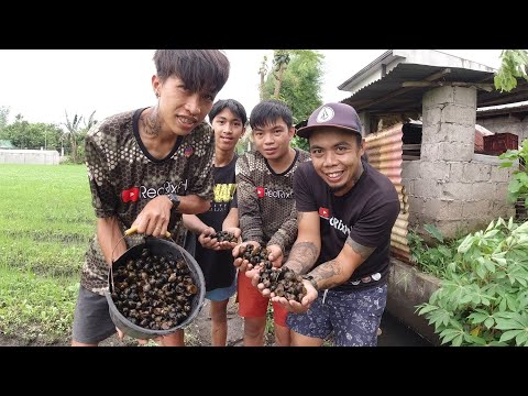 SE02EP082 Part 1 PANGUNGUHA ng KUHOL at KABUTE - TSAMPENI na KUHOL | San Pablo City, Laguna