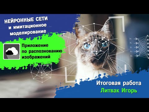 Нейронные сети и имитационное моделирование. Итоговая работа Литвак