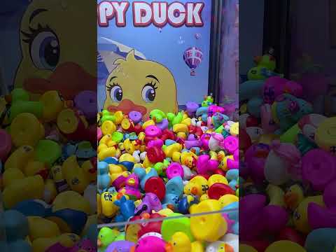 Thumbnail for Star of the Seas 2025