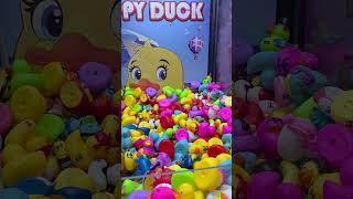 Star of the Seas 2025