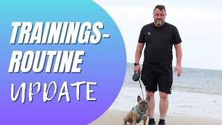 So sieht unser Training aus - UPDATE Französische Bulldogge