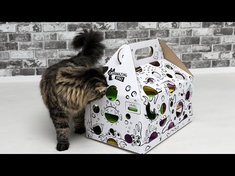 Cat Amazing EPIC! - The ultimate treat-hunt cat toy is coming to Kickstarter Teaser!