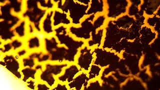 Crack propagation in soft electronics