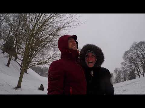 2021 Avery Christmas Card