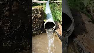 Download lagu Gemericik air pegunungan #videoshort #juniorchannel #alam #air mp3 Download lagu Gemericik air pegunungan #videoshort #juniorchannel #alam #air mp3