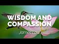 Wisdom And Compassion Macclesfield 03 2025