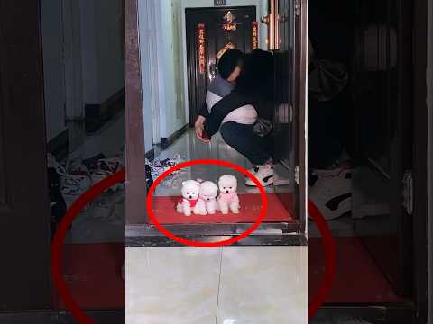 Look, The Wife Throws Her Husband Out Of The House #short #viralshort #trending #puppy #new