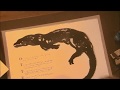 Otter Conjuring | Jackie Morris & Robert Macfarlane