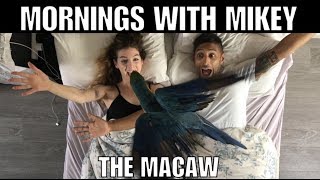 Mikey The Macaw || Mornings With Mikey (Official Music Video)