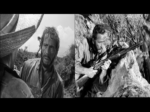 Crazy Things about The Treasure of the Sierra Madre Movie - These Facts Will Shock You