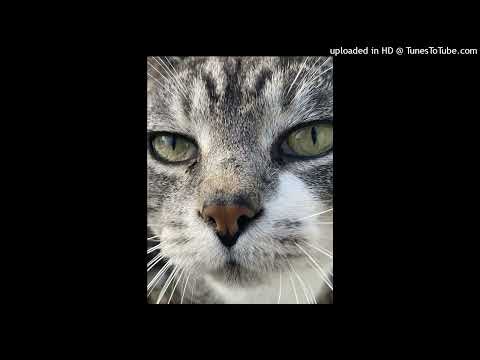 lil lugia x nvrlalo x 187lucid - rich bastard