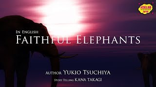 【英語朗読】かわいそうなぞう【Narration in English】Faithful Elephants