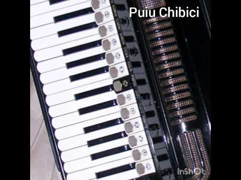 Puiu Chibici * Eu mă culc și adorm in pace