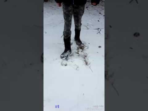 BLOOPIES OF THE ICE QUEEN TRAILER