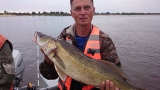 Ссылка