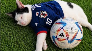 FC26 プロクラブパブリック配信　お願いいたします