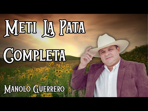 Manolo Guerrero - Metí La Pata Completa (Audio Oficial)