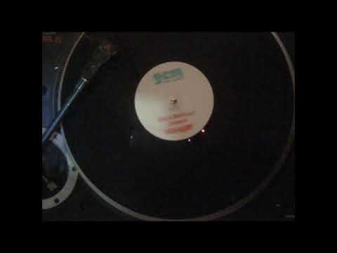 DISCO BROTHERS PRESENTS NU LUV   DO IT