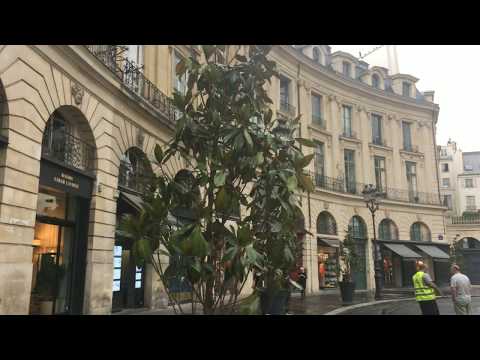 MAISON SARAH LAVOINEメゾン・サラ・サヴォワンヌ