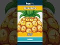 pineapple - 菠萝 video thumbnail