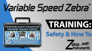 The Variable Speed Zebra (VZ-7) -  Safety and How to