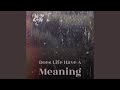 Does Life Have A Meaning