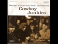 The Cowboy Junkies ~ River Waltz 