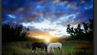 La pipa de la paz - aterciopelados