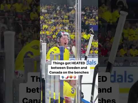 WILD trash talk between Canada and Sweden’s benches at the World Juniors 😳☠️