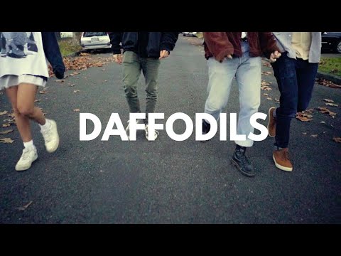 Daffodils - Artist Profile Series 2018