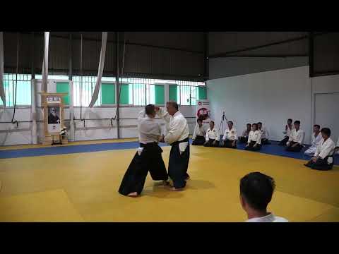 2023 HAF Aikido Seminar - Shihan Etsuji Horii - Ryote dori kyokyu ho