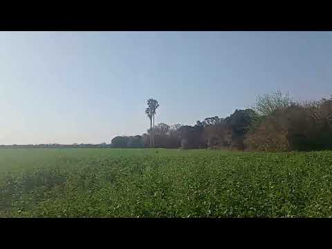 PALUD ASOCIADOS INMOBILIARIA CAMPOS AGRICOLAS COLONIA DURAN ROMANG SANTA FE CONTACTO 3483 406458