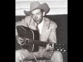 Hank Williams: i'm a long gone daddy 